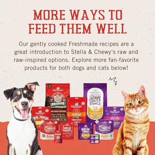 Stella & Chewy's FreshMade Frozen Fresh High-Protein Beef, Barley & Turkey Dog Food, 16-oz Pouch (Pack of 8)