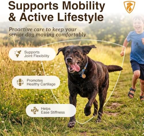 NutraRegen Select Forte Dog Joint Supplement for Senior Dogs – Glucosamine, Chondroitin, MSM, Collagen & Green-Lipped Mussel – Hip & Joint Mobility, Flexibility & Comfort – 45 Scoops