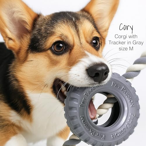 Pet Passion Natural Rubber Tire and Organic Cotton Rope Pull and Chew Dog Toy for All Pet Breeds, Almond Milk, Small