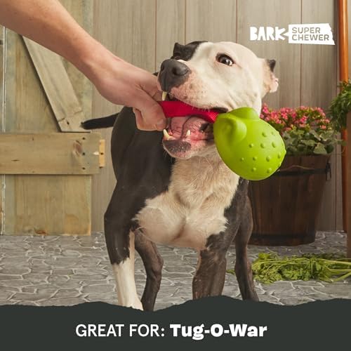 BarkBox Tug Tied Toad Dog Toy - for Large Dogs