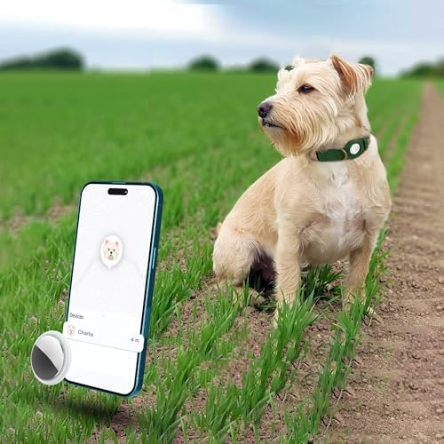 AirTag Dog Collar - Genuine Leather Dog Collar with Apple AirTag Holder and Metal Buckle - Smart GPS Tracking Pet Collars (Dark Green, XL, 20"-25" Neck Fit)