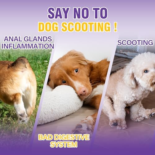 Dog Anal Gland Soft Chews 150 Stop Scoot for Dogs Supports Anal Gland Bowel Function Digestive Health Fiber Pumpkin Supplement for Dogs Pet Diarrhea Bowel Support Probiotics Digestive (Chicken Flavor)