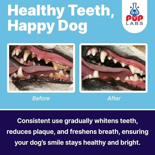 Pup Labs ProDenta, All-Natural Dog Dental Powder for Teeth Cleaning, Dental Powder for Dogs Teeth with Breath Freshener. Easy to use for Tartar Removal and Leaky Gums. Made in USA, 30 Servings