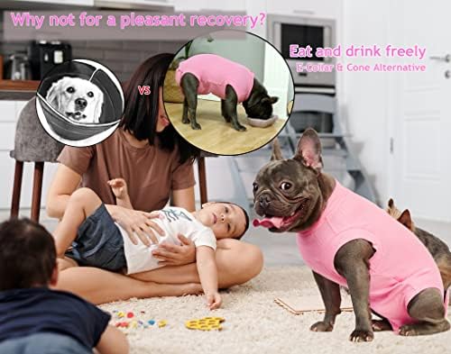 Recovery Suit for Female Dogs, Dog Cone Alternative After Spay