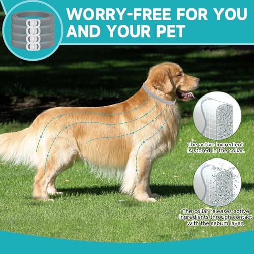 Flea and Tick Prevention for Dogs, 4-Pack Flea Collars, 32 Months, Grey