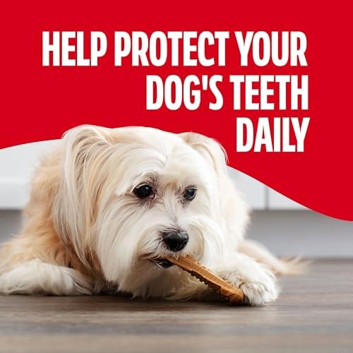 Milk-Bone Brushing Chews, Mini, Original Flavor, 90 Dental Treats