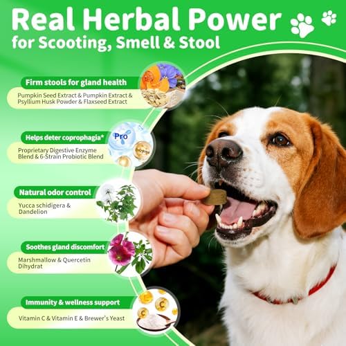 Dog Probiotics & Digestive – Pumpkin Fiber Chews for Gut Health