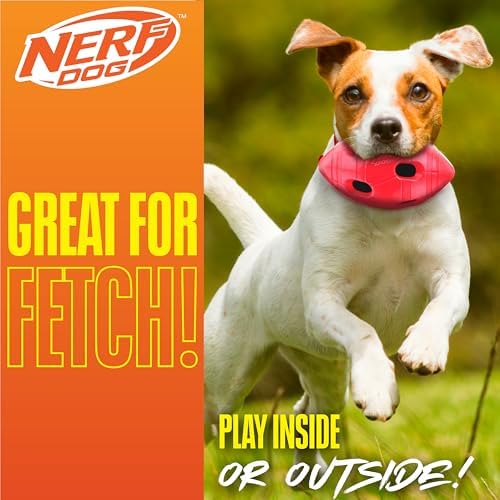Nerf Dog Rubber Football Dog Toy with Interactive Squeaker and Crunch, Lightweight, Durable and Water Resistant, 6 Inch Diameter for Medium/Large Breeds, Single Unit, Red