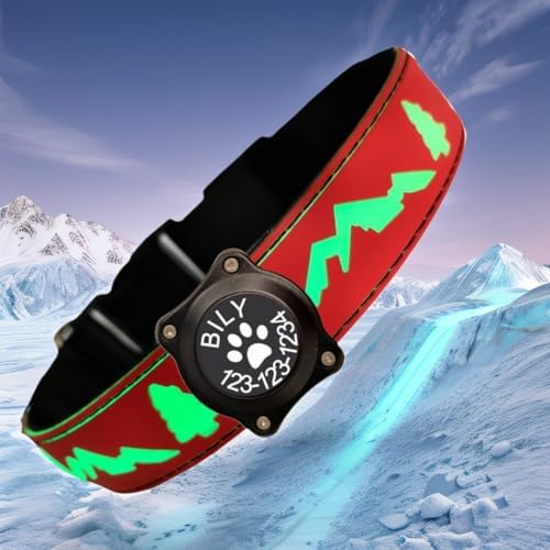 Customlized Name Flashing USB-C led Light up Dog Collar with airtag Holder, Subversive 3D Design Comfortable and Soft Material,Multicolored Lighting (RED, S(7.87-11.8"))