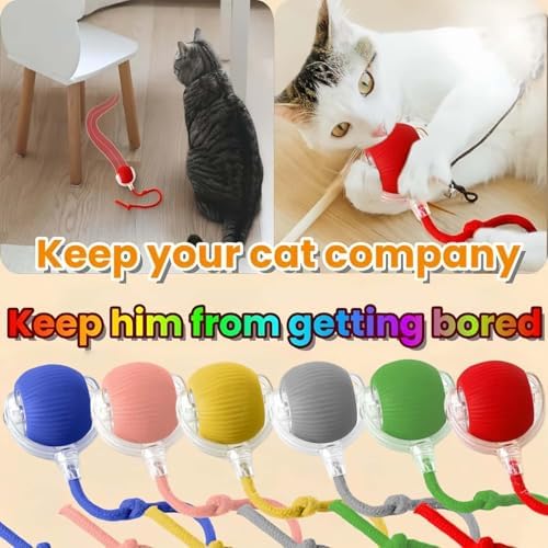 Interactive Rotating Cat Ball Toy, 360 Smart Rolling Ball Electric, Automatic Moving for Cats & Kittens (Green+Red)