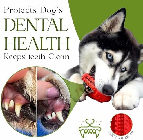 Chew Toys for Aggressive Chewers - Pack of 3 Treat Dispensing Ring, Bone, Shoe Interactive Puzzle Toys, Enrichment Toys for Boredom and Brain Stimulating Game Keeps Dogs Engaged
