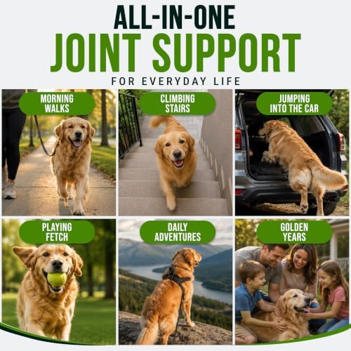 Glucosamine Hip & Joint Supplement for Dogs - Chews with Chondroitin & MSM