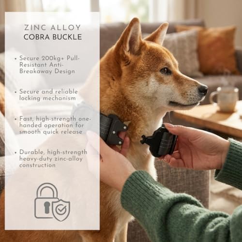 Dog Collar, Case Compatible with AirTag + Leash, Cobra Buckle, Padded (S)