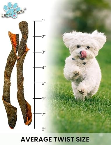 Freeze Dried Salmon Skin Dog Treats Omega3 Grain Free 4 oz