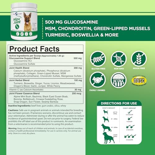 Vital Planet - Hip and Joint Support Powder Supplement for Dogs, with Glucosamine, Turmeric, Boswellia, MSM, and Collagen from Green-Lipped Mussel - Beef Flavored Powder, 60 Scoops, 111 Grams