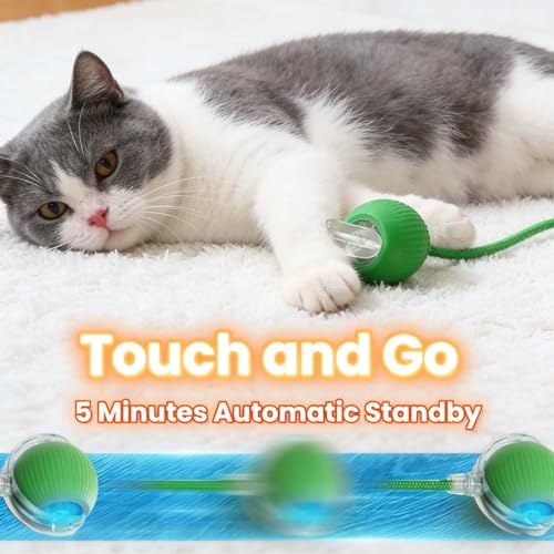 Interactive Rotating Cat Ball Toy, 360 Smart Rolling Ball Electric, Automatic Moving for Cats & Kittens (Blue)