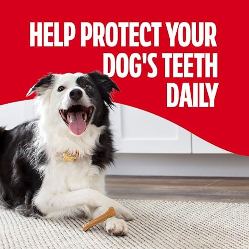 Milk-Bone Brushing Chews Original Chicken Flavor Daily Dental Dog Treats, Small/Medium, 19.6 Oz. Bag (Pack of 5)