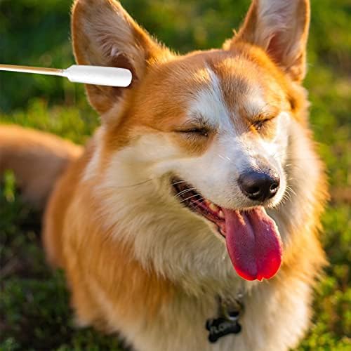 6 Inch Long Cotton Swabs for Dogs ，Cat，Small Pet Ears Cleaning, Pet Cotton Ear Buds Swabs,Ear Cleaning Swabs with Bamboo Handle,Apply for Daily Ear Cleaning Removes Wax, Dirt (100pcs)