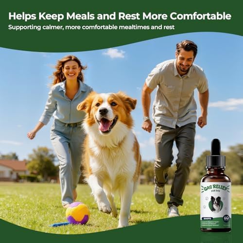 Gas Relief for Dogs Liquid Drops, Digestive Comfort & Gut Balance Support