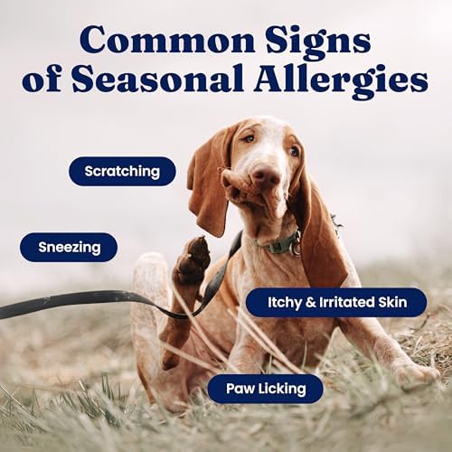 Solid Gold Dog Allergy Chews for Itchy Skin & Immune Support, 120ct