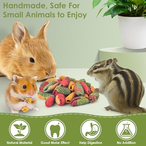 ERKOON Chinchilla Treats, Timothy Grass Chew Toys for Teeth for Rabbit Guinea Pig Gerbil Rat Dwarf Hamster (Large Size-1 Pack)