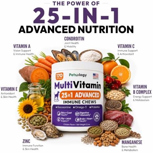 (2 Pack) Dog Multivitamin Chewable, 340 Chews, Dog Vitamins and Supplements