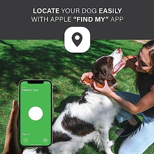 Apple AirTag Leather Dog Collar Smart GPS Collar with AirTag Holder (M, Pine Green)