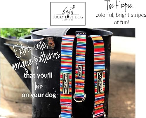 Lucky Love Dog Martingale Collar & Leash Set No Slip Cute – Hippie, Medium