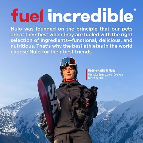 Nulo Functional Granola Bars, Healthy Dog Treats, Oven Baked, Made with Prebiotics and Probiotics, Contains No Added Salt, Sugar, or Molasses, 10 Ounce Bag