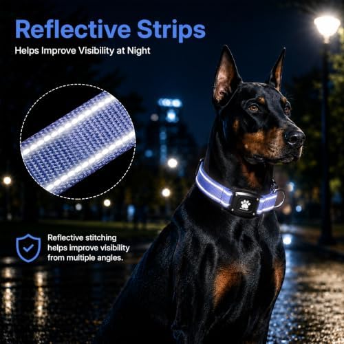GPS Dog Collar with Tracker, Waterproof, No Monthly Fee, Blue, XS | Works with Apple Find My, iOS Only, MFi Certified, No SIM Card, for Small Dogs, Reflective Padded Nylon, Neck 10.5-13.5 in