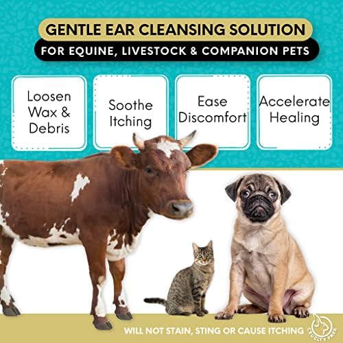Curicyn Dog Ear Infection Treatment (3oz) - Dog Ear Cleaner - Dog Ear Cleaning Solution - Cat Ear Cleaner - Ear Drops for Kittens, Dogs & More
