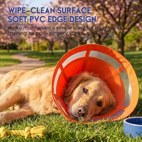 ASENKU Dog Cone Collar, Protective Recovery Dog Collar After Surgery, Comfy Adjustable Cone for Dogs to Stop Licking, Pet E-Collar for Small, Medium & Large Dogs(Orange, XL)