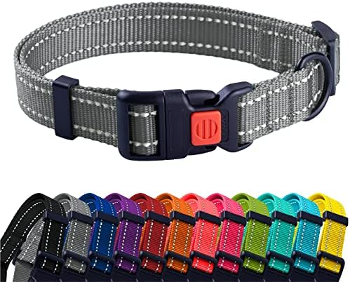 Reflective Dog Collar, Quick-Release Buckle (Grey, 10-13 Inch)