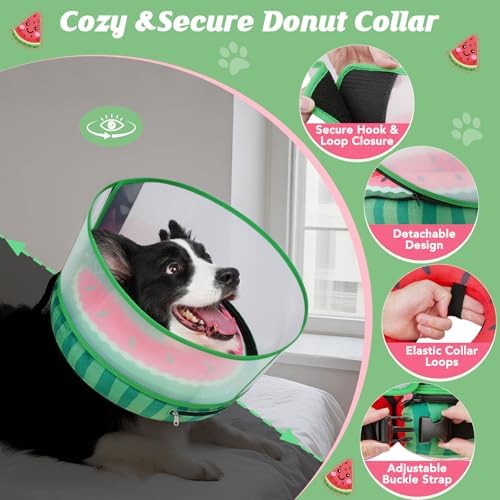 Inflatable Dog Cone with Anti-Licking Clear Shield, Fits Small Dogs