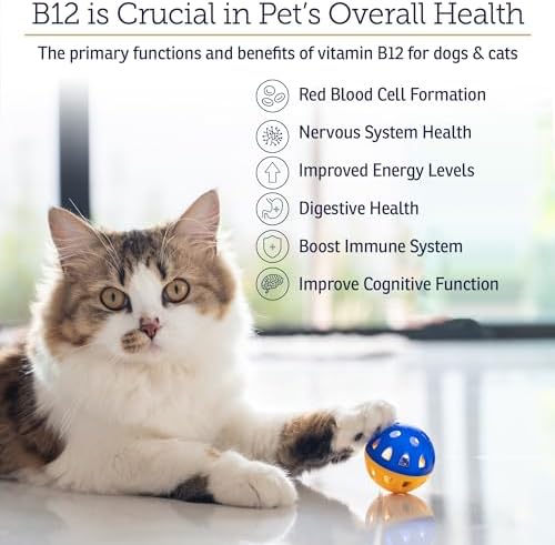 RX Vitamins B12 for Dogs and Cats - Helps Improve Pet Wellness - 4oz