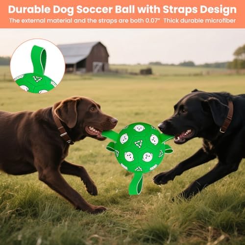 Dog Soccer Ball with Straps, 6 Inch Jolly Ball for Medium Dogs