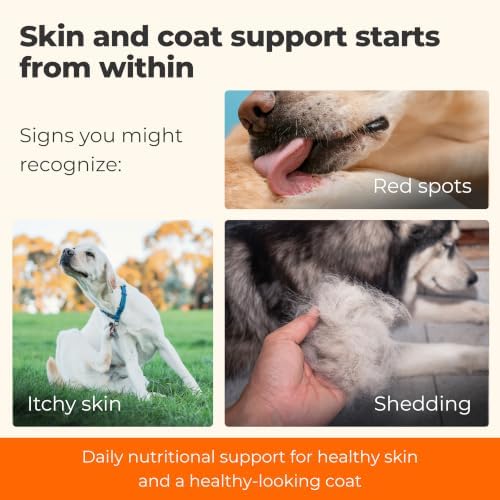 Skin and Coat Supplement Omega 3 for Dogs, Salmon Fish Oil Itchy Skin Chews