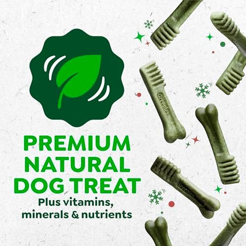 Greenies Regular Natural Dental Dog Treats, Gingerbread Flavor, 6 Count