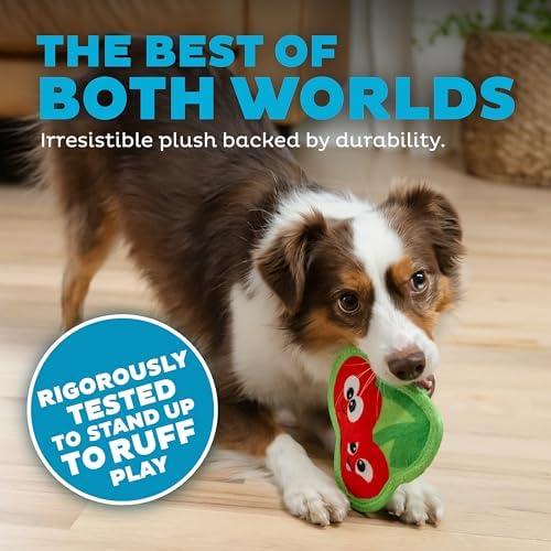 Outward Hound Tough Skinz Durable Squeaky Dog Toy with Two Tough Layers, Cherries, Red, Small