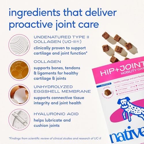 Native Pet Joint Care & Pain Relief Bundle: Hip & Joint Supplement for Dogs - Helps Maintain Healthy Cartilage & Flexibility - Pain Relief for Dogs with Collagen to Promote Bone Health - 60 Count