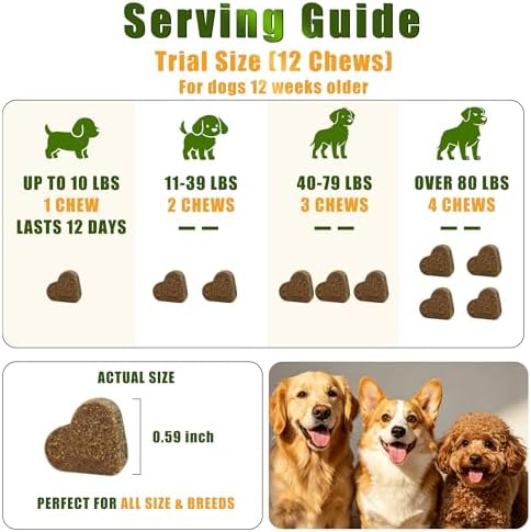 Probiotics for Dogs - Dog Probiotics for Digestive Health - 40 Billion CFU Dog Probiotic FOS Enzymes Pumpkin - Daily Gut Health for Sensitive Stomach Diarrhea Relief, Chicken Flavor, 12Ct