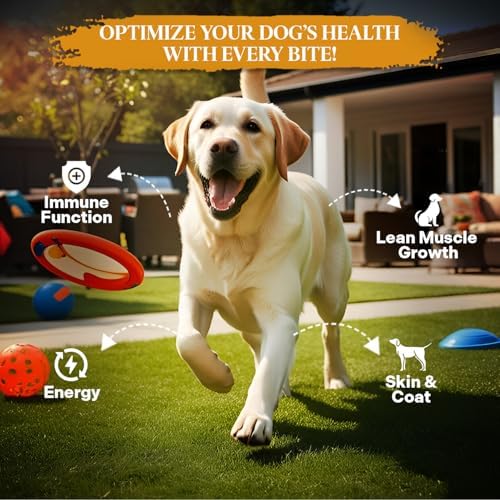 Healthy Dogma - PetMix Dehydrated Dog Food - Beef Dinner