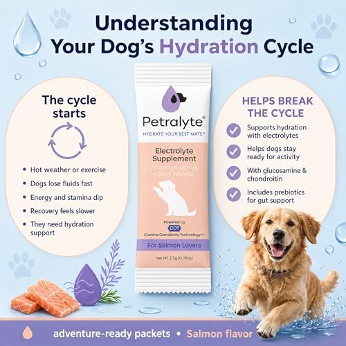 Dog Electrolytes and Joint Supplement | Glucosamine, Chondroitin & MSM for Inflammation and Mobility Support | Electrolytes for Dogs with Prebiotics | Salmon Lovers | 16 Packets