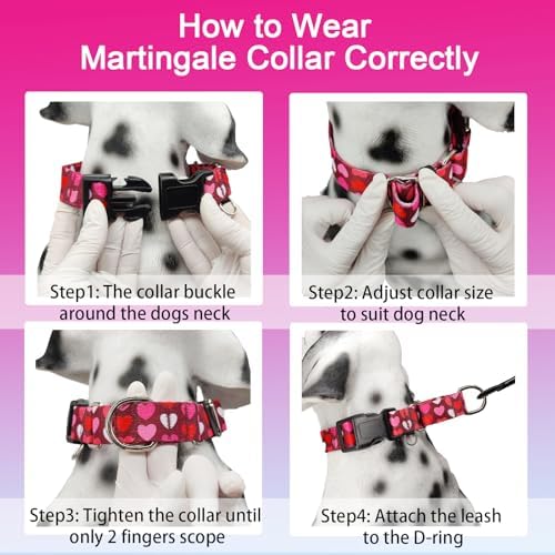 Valentines Martingale Dog Collar Pink Burgundy Heart Love, Small