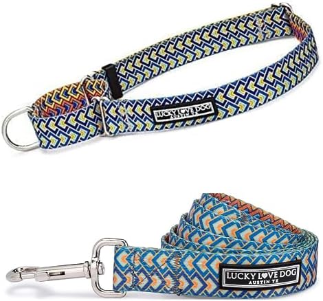 Lucky Love Dog Martingale Collar & Leash Set No Slip Cute – Murphy, Small