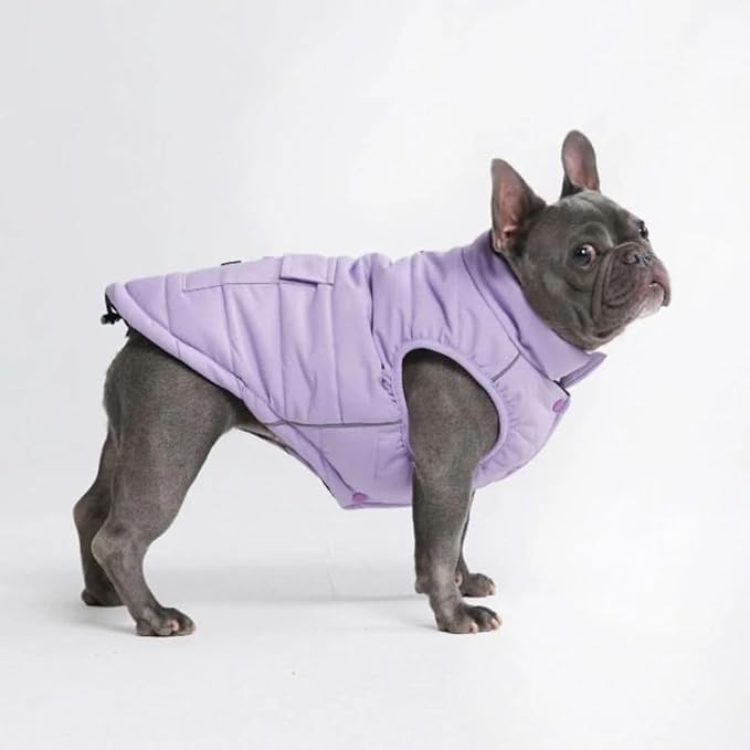 Spark Paws Dog Winter Jacket, Water-Resistant Coat, Warm Reflective Windproof Fleece-Interior, for Medium and Large Dogs - Lilac - XL
