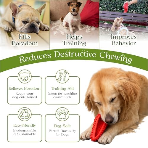 Treat Dispensing Chew Shoe Interactive Puzzle Toys - Dog Chew Enrichment Toys for Aggressive Chewers, Boredom Relief and Brain Stimulating Game Keeps Dogs Engaged