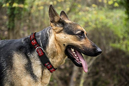 NHL Carolina Hurricanes Collar for Dogs & Cats, Large. - Adjustable, Cute & Stylish! The Ultimate Hockey Fan Collar!