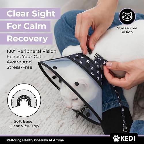 Cat Recovery Cone and Vest Kit After Surgery, Stop Licking, Black Medium