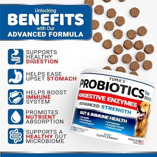 (2 Pack) Probiotics for Dogs - 340 Ct - Dog Probiotics Chews for Gut Health